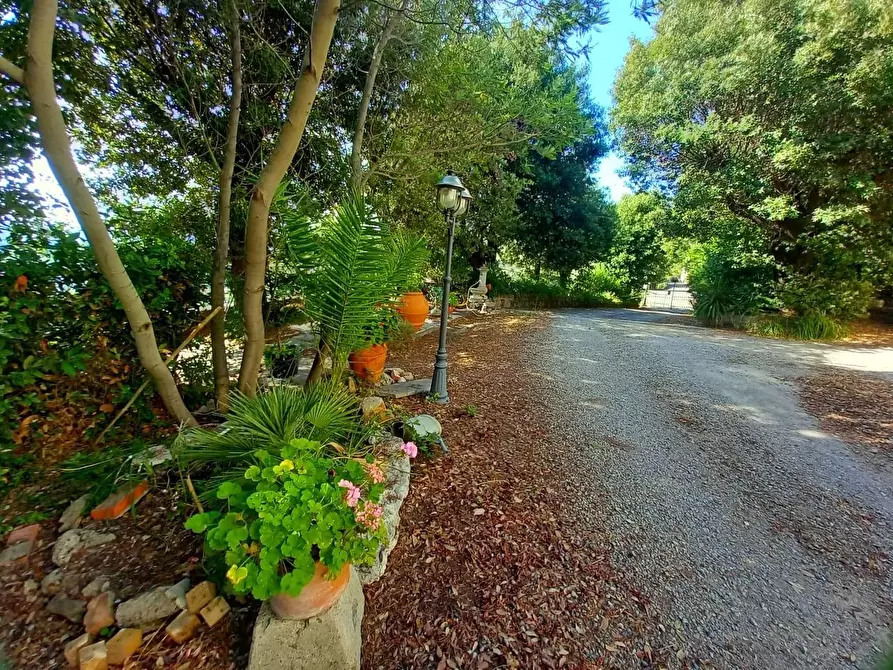 Immagine 45 di Villa in vendita  a Crespina Lorenzana