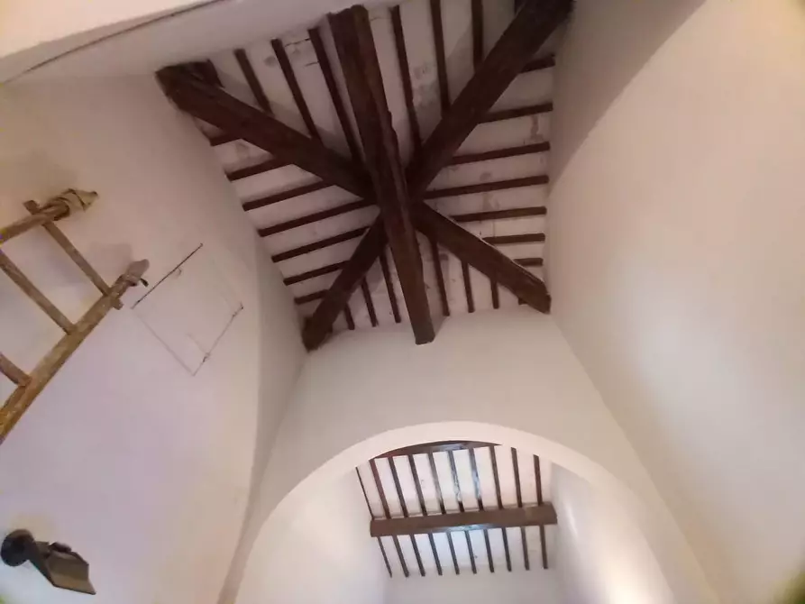 Immagine 53 di Villa in vendita  a Crespina Lorenzana