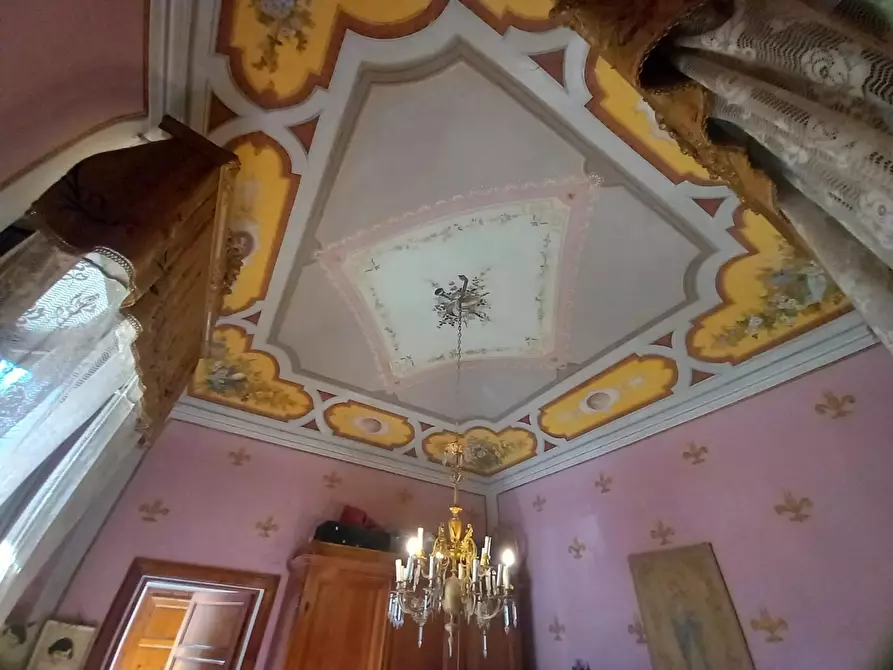 Immagine 34 di Villa in vendita  a Crespina Lorenzana