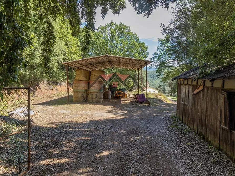 Immagine 66 di Casa colonica in vendita  a Pomarance