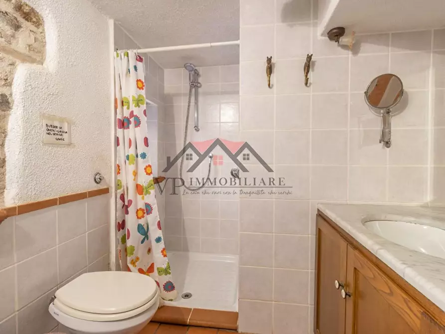 Immagine 44 di Casa colonica in vendita  a Pomarance