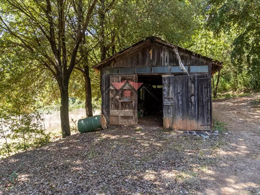 Immagine 65 di Casa colonica in vendita  a Pomarance