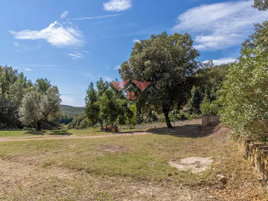 Immagine 63 di Casa colonica in vendita  a Pomarance