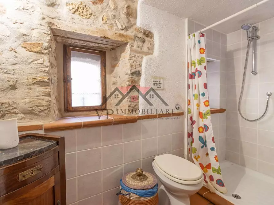 Immagine 43 di Casa colonica in vendita  a Pomarance