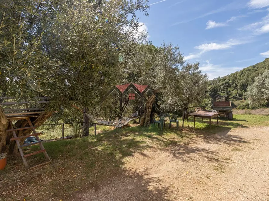 Immagine 61 di Casa colonica in vendita  a Pomarance