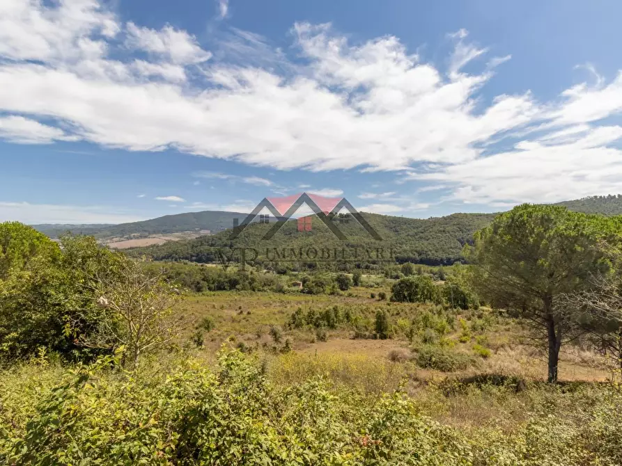 Immagine 62 di Casa colonica in vendita  a Pomarance