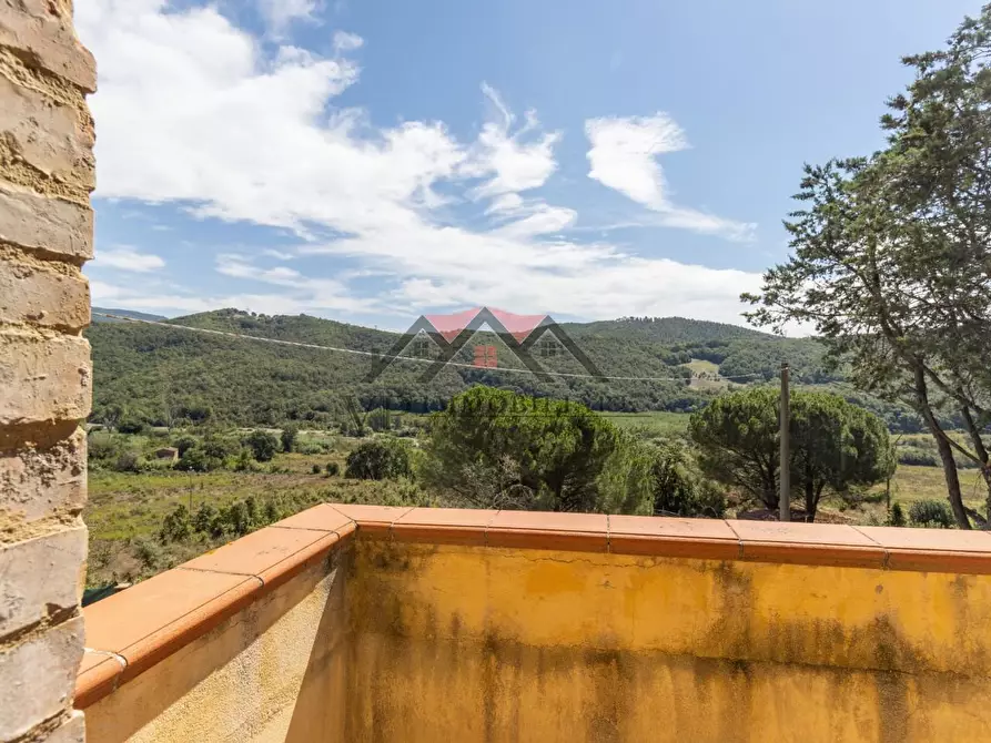 Immagine 51 di Casa colonica in vendita  a Pomarance