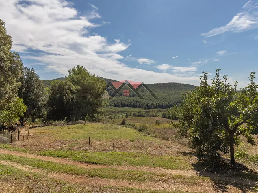 Immagine 67 di Casa colonica in vendita  a Pomarance