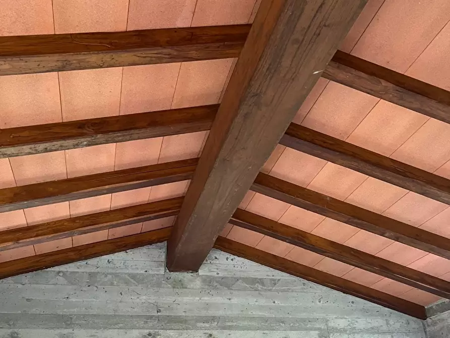 Immagine 8 di Terreno agricolo in vendita  a Montignoso