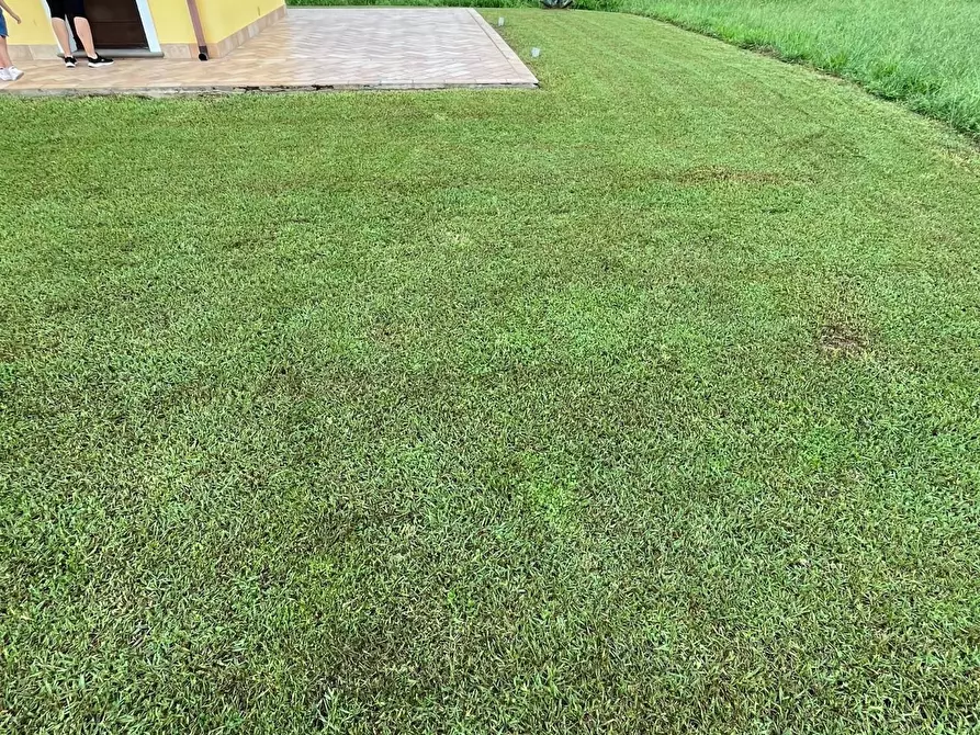 Immagine 2 di Terreno agricolo in vendita  a Montignoso