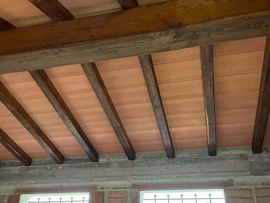 Immagine 9 di Terreno agricolo in vendita  a Montignoso