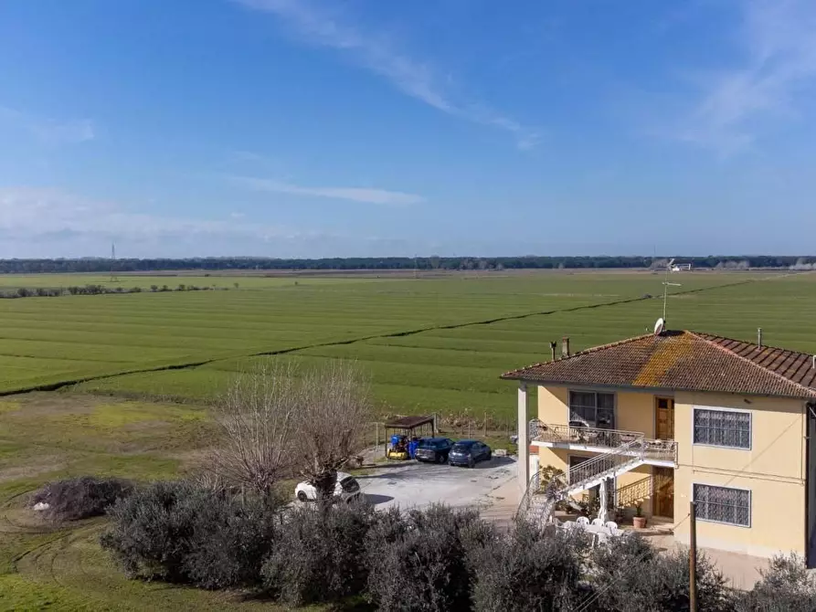 Immagine 1 di Casa bifamiliare in vendita  a Pisa