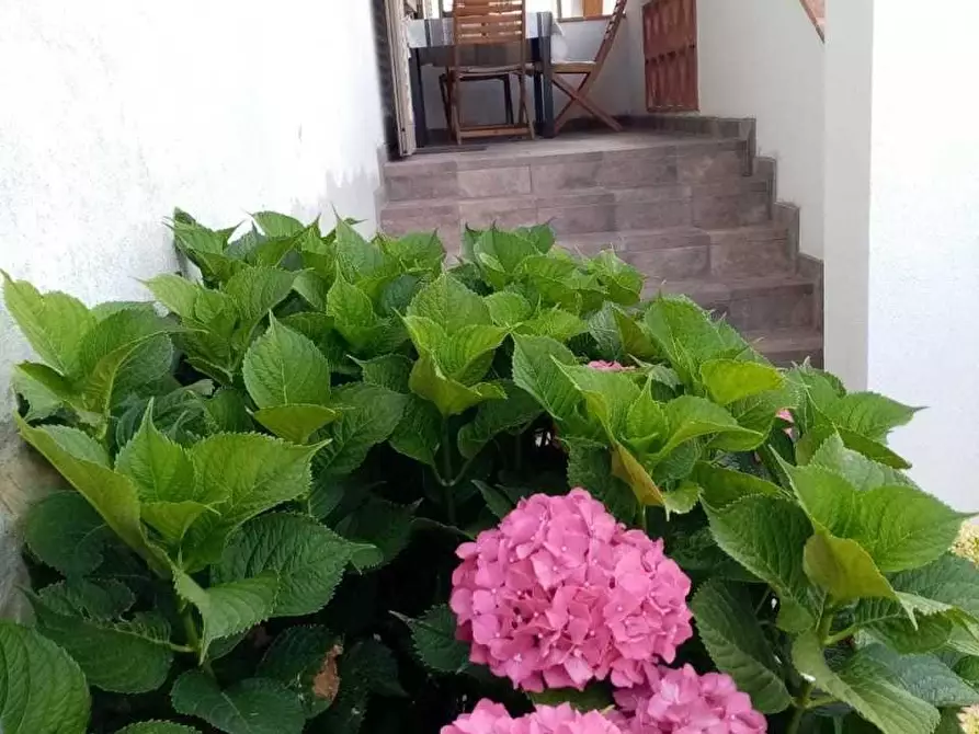 Immagine 37 di Villa in vendita  a Fosdinovo