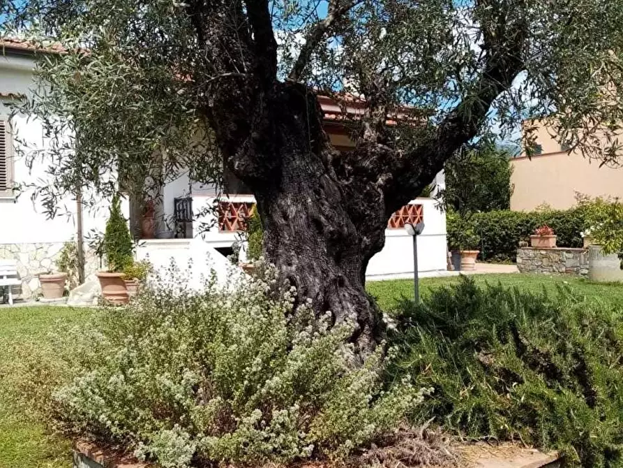 Immagine 34 di Villa in vendita  a Fosdinovo