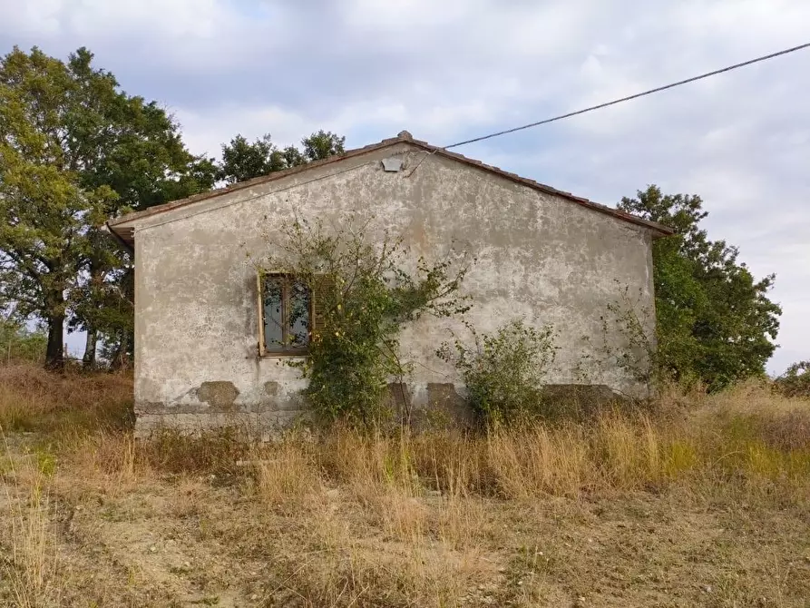 Immagine 7 di Terreno agricolo in vendita  a Roccalbegna