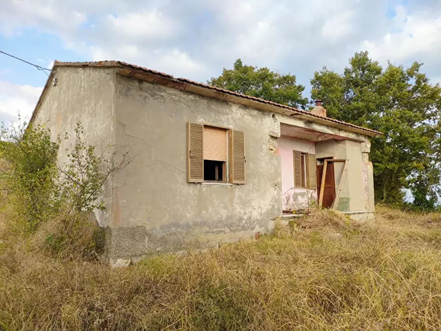 Immagine 9 di Terreno agricolo in vendita  a Roccalbegna