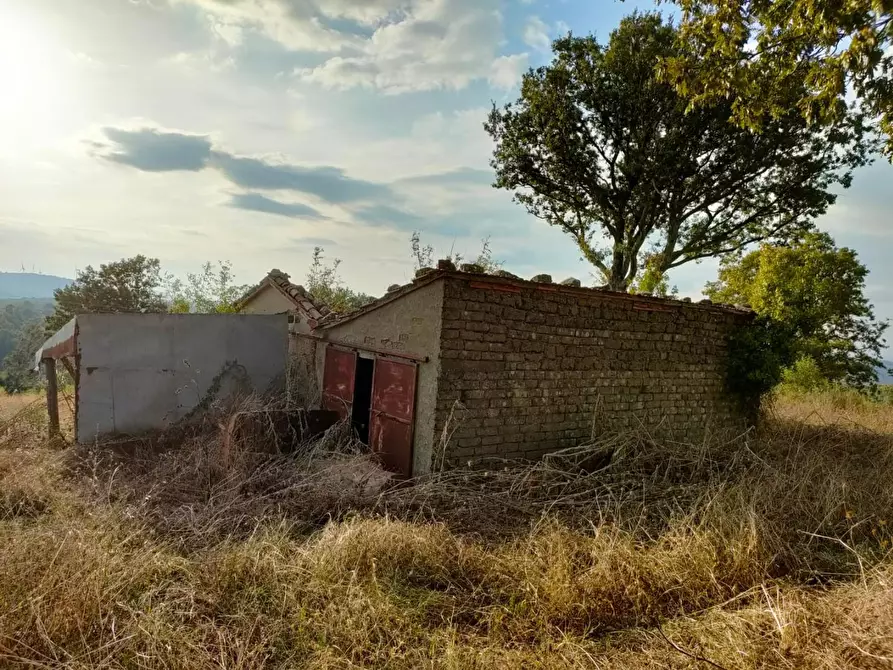 Immagine 17 di Terreno agricolo in vendita  a Roccalbegna