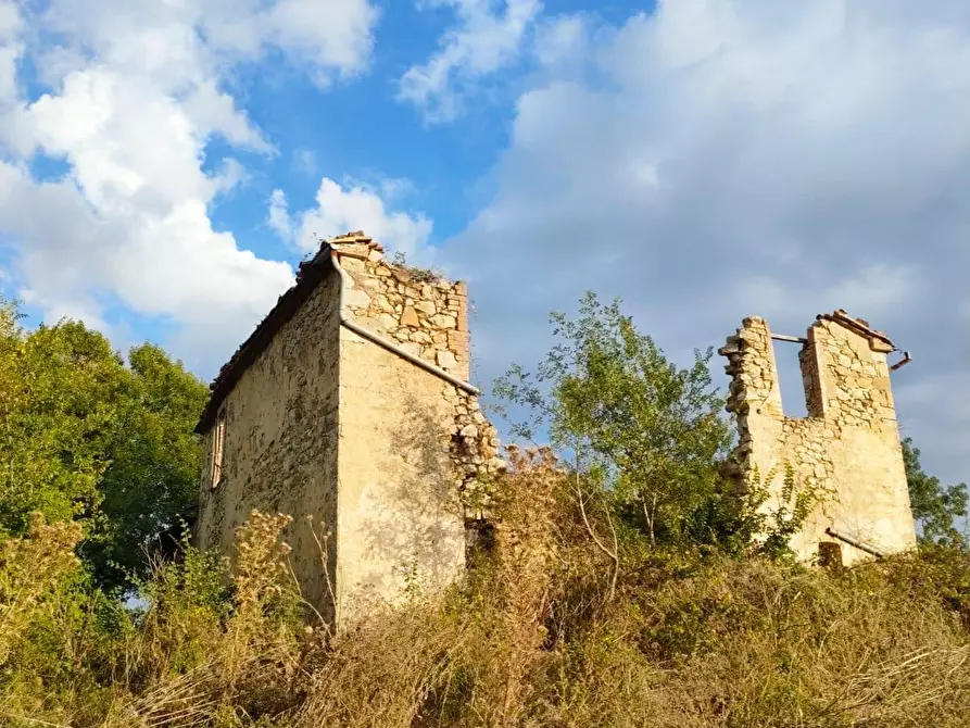 Immagine 15 di Terreno agricolo in vendita  a Roccalbegna