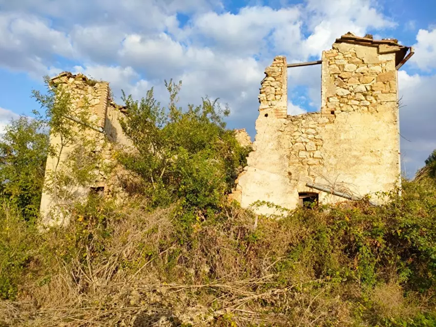 Immagine 14 di Terreno agricolo in vendita  a Roccalbegna