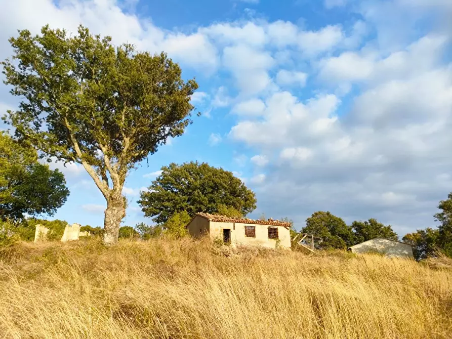 Immagine 1 di Terreno agricolo in vendita  a Roccalbegna