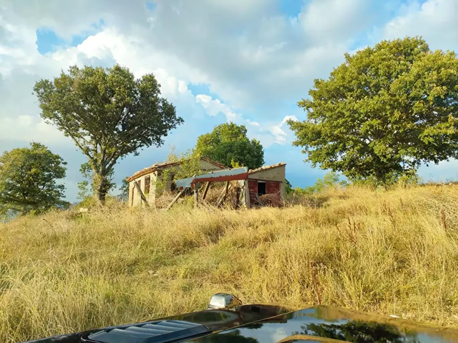Immagine 10 di Terreno agricolo in vendita  a Roccalbegna