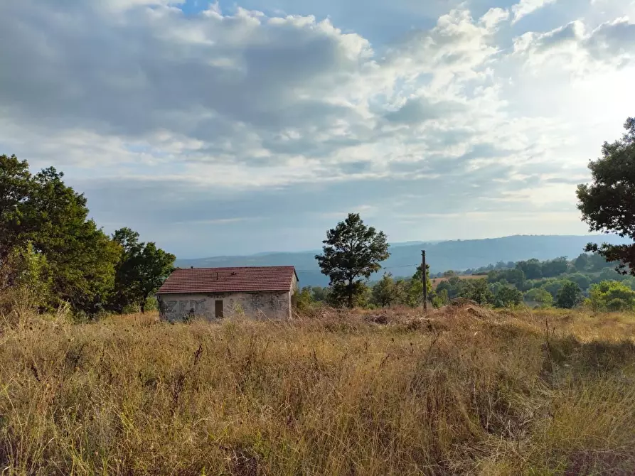 Immagine 12 di Terreno agricolo in vendita  a Roccalbegna
