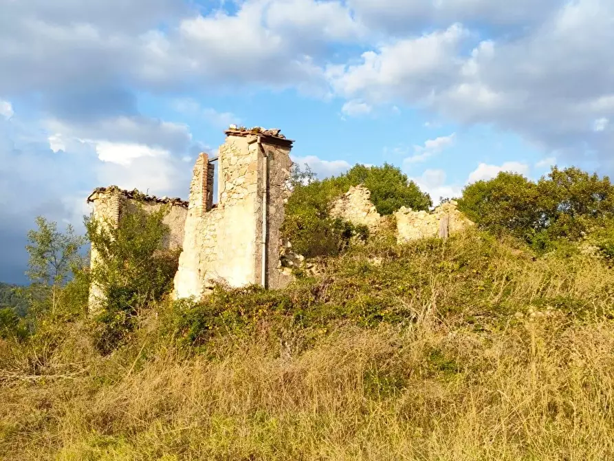 Immagine 13 di Terreno agricolo in vendita  a Roccalbegna