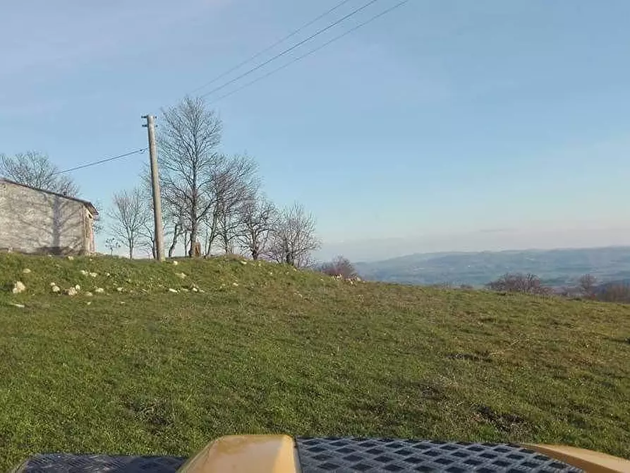 Immagine 2 di Terreno agricolo in vendita  a Roccalbegna