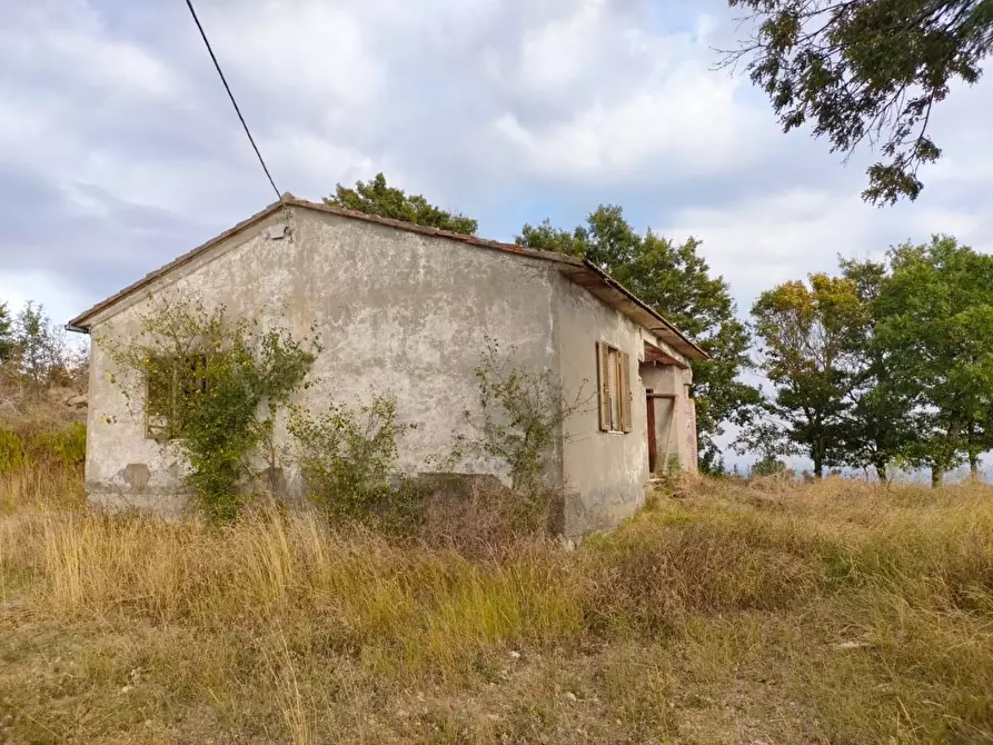 Immagine 6 di Terreno agricolo in vendita  a Roccalbegna