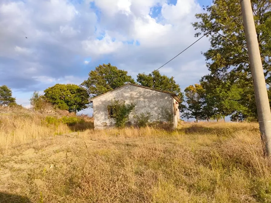 Immagine 11 di Terreno agricolo in vendita  a Roccalbegna