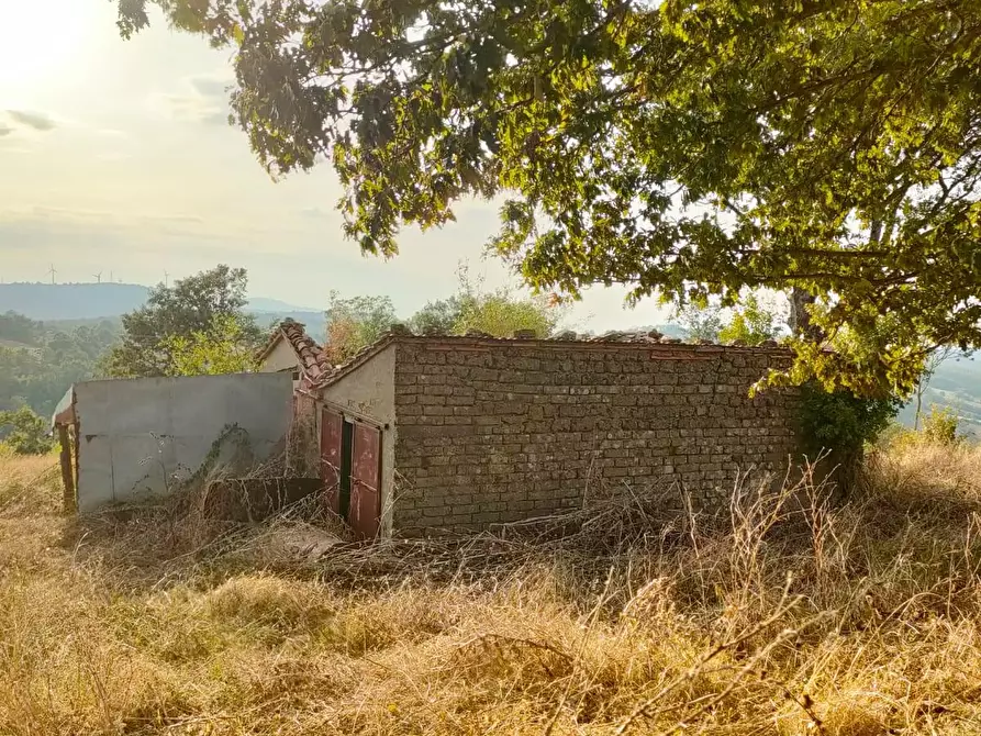 Immagine 16 di Terreno agricolo in vendita  a Roccalbegna
