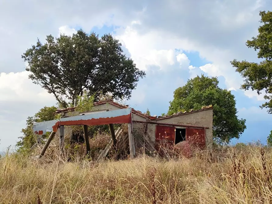 Immagine 8 di Terreno agricolo in vendita  a Roccalbegna