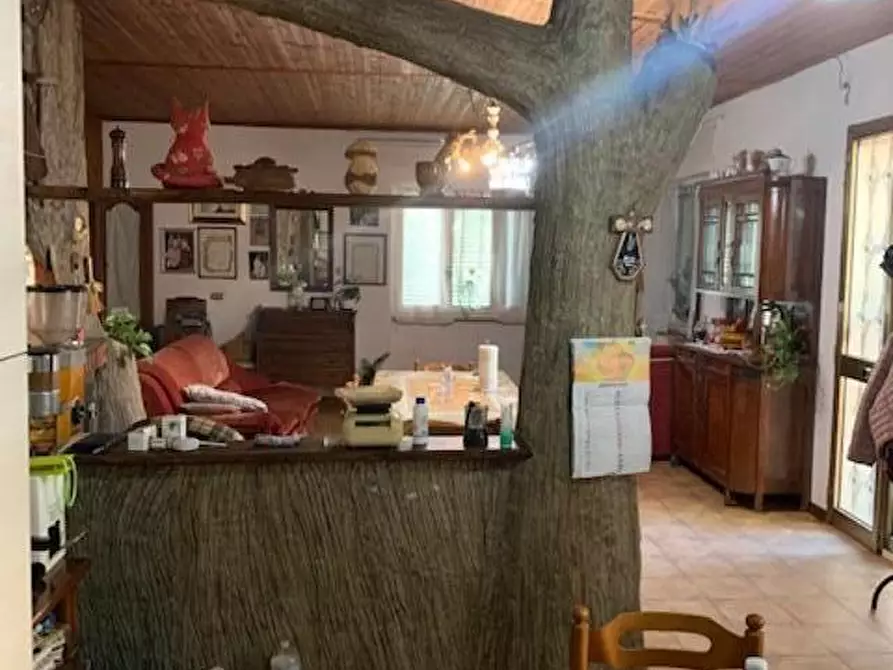 Immagine 12 di Casa indipendente in vendita  a Marliana