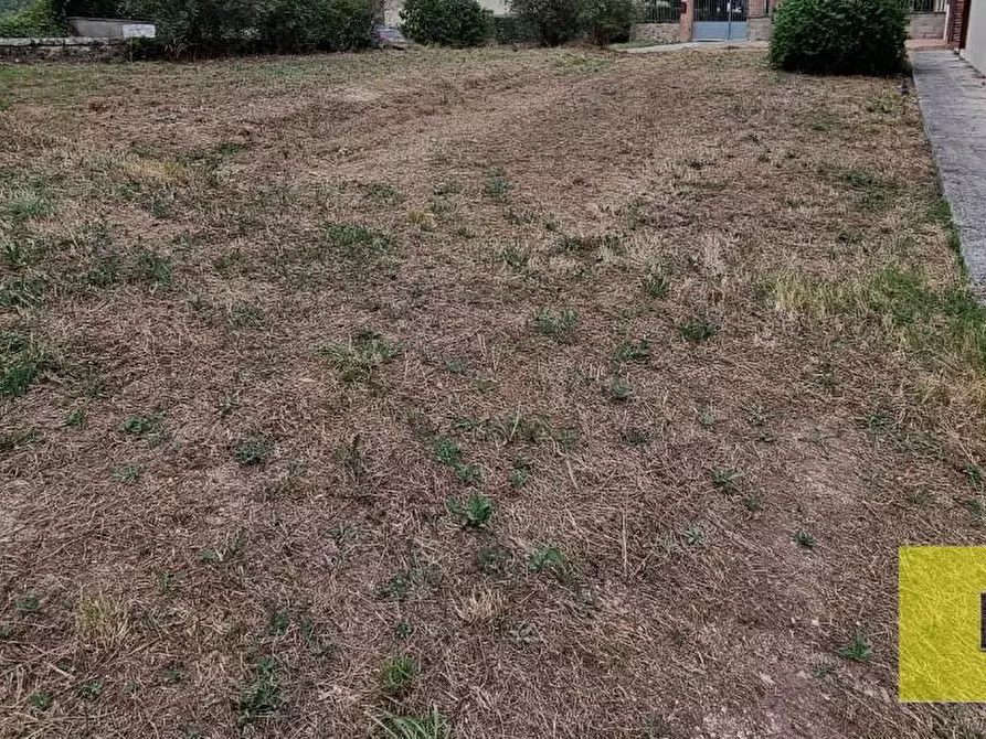 Immagine 20 di Casa bifamiliare in vendita  a Terricciola