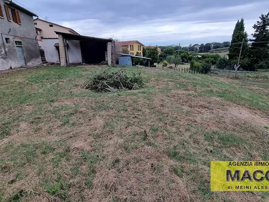 Immagine 19 di Casa bifamiliare in vendita  a Terricciola