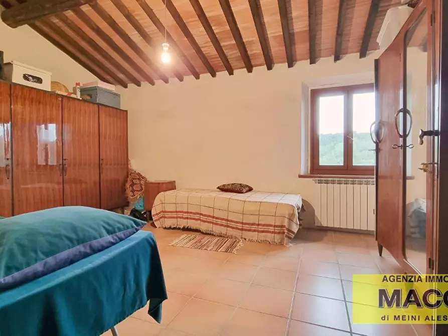 Immagine 17 di Casa bifamiliare in vendita  a Terricciola