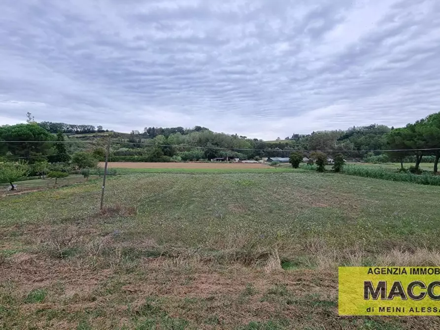 Immagine 14 di Casa bifamiliare in vendita  a Terricciola