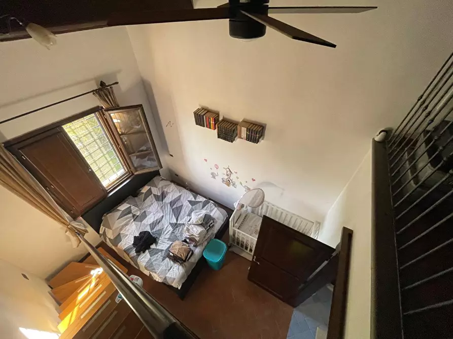 Immagine 24 di Terratetto in vendita  a Crespina Lorenzana