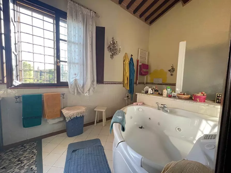 Immagine 22 di Terratetto in vendita  a Crespina Lorenzana