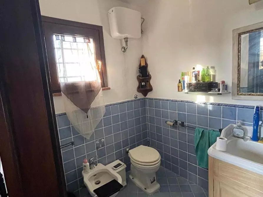 Immagine 25 di Terratetto in vendita  a Crespina Lorenzana