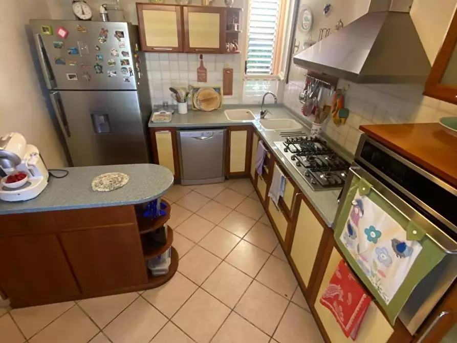 Immagine 5 di Appartamento in vendita  a Pisa