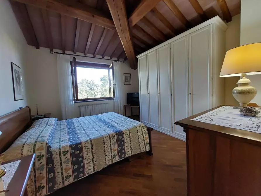 Immagine 32 di Terratetto in vendita  a Pontedera