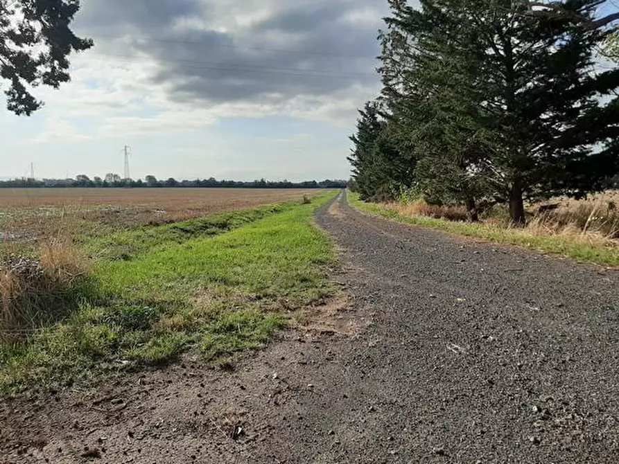 Immagine 14 di Rustico / casale in vendita  a Rosignano Marittimo
