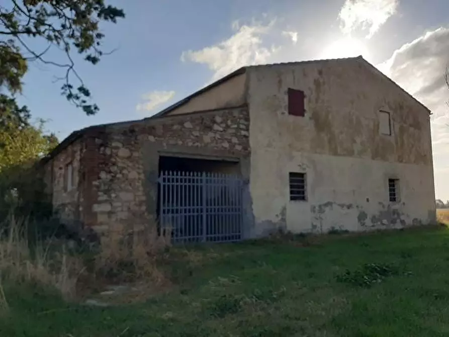 Immagine 11 di Rustico / casale in vendita  a Rosignano Marittimo