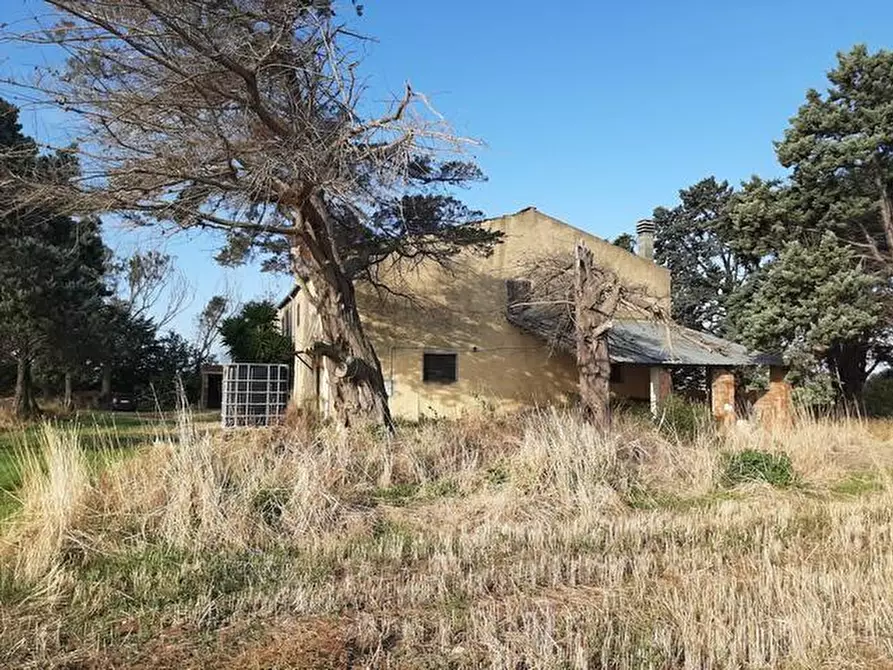 Immagine 5 di Rustico / casale in vendita  a Rosignano Marittimo