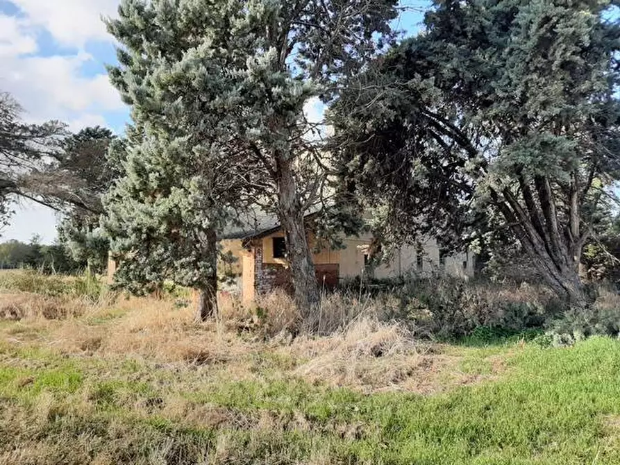 Immagine 4 di Rustico / casale in vendita  a Rosignano Marittimo