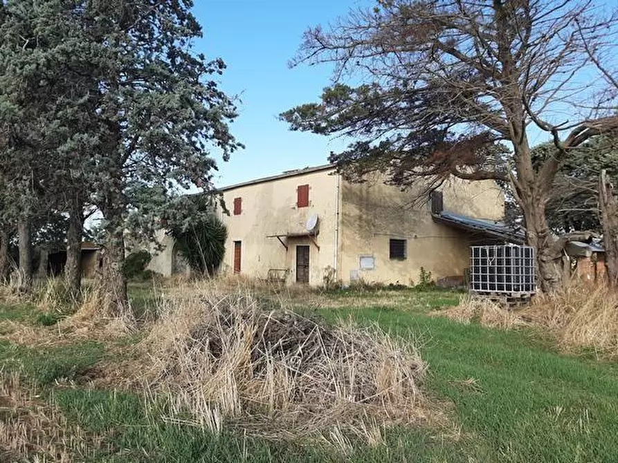 Immagine 7 di Rustico / casale in vendita  a Rosignano Marittimo