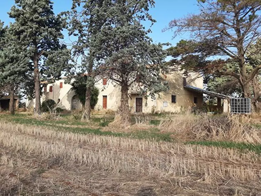 Immagine 8 di Rustico / casale in vendita  a Rosignano Marittimo