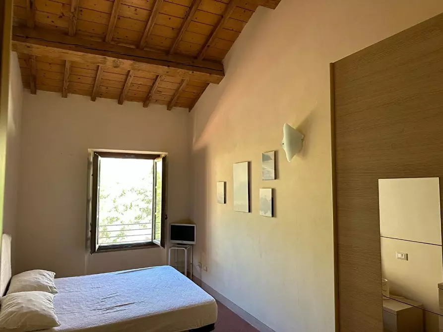 Immagine 10 di Appartamento in affitto  a Calci