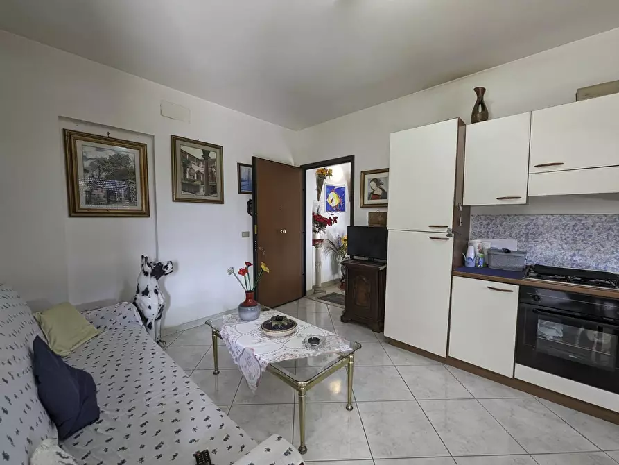 Immagine 3 di Appartamento in vendita  a Grosseto